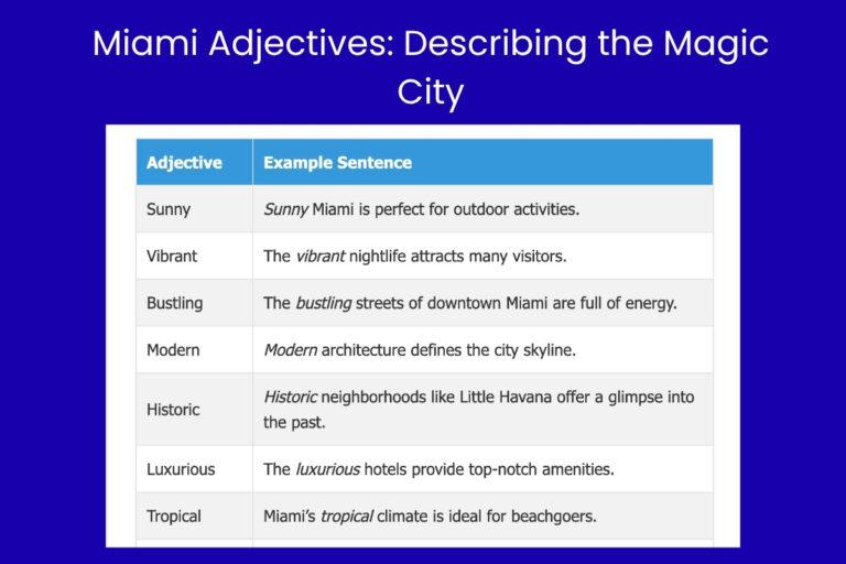 Miami Adjectives: Describing the Magic City