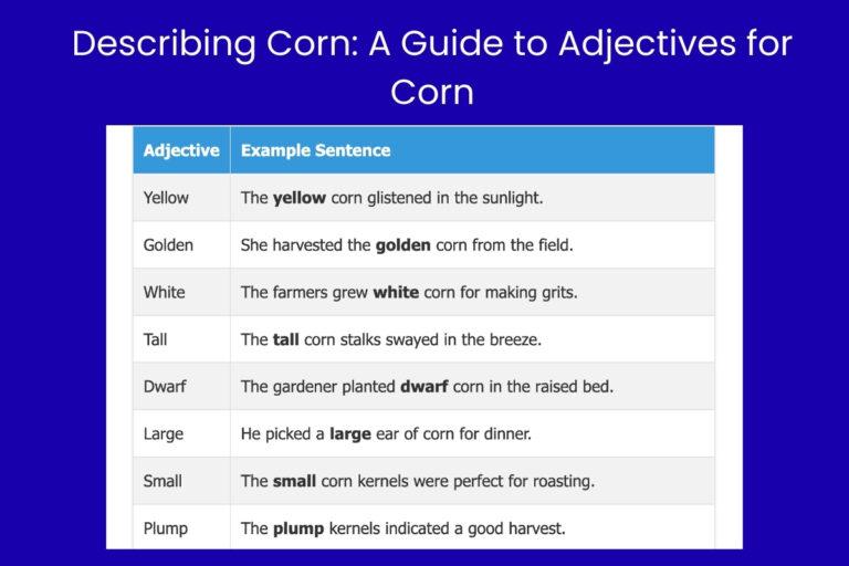 Describing Corn A Guide to Adjectives for Corn