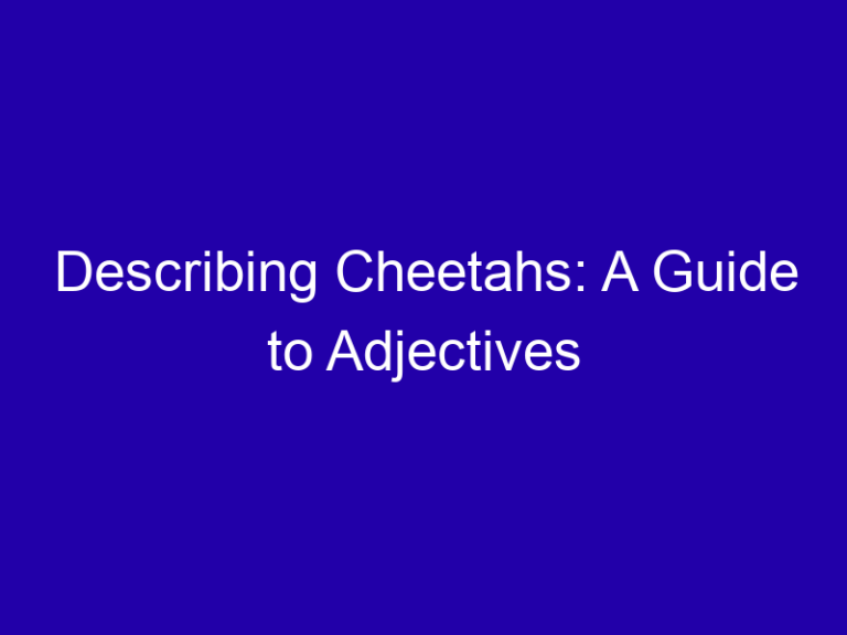 Describing Cheetahs: A Guide to Adjectives