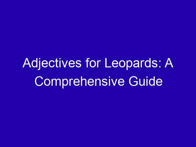 Adjectives For Leopards A Comprehensive Guide 3803 6f480