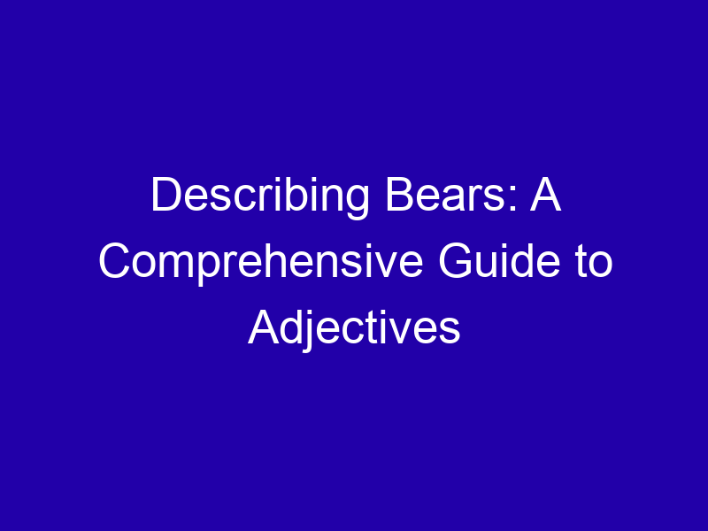 Describing Bears A Comprehensive Guide To Adjectives 3793 Df567