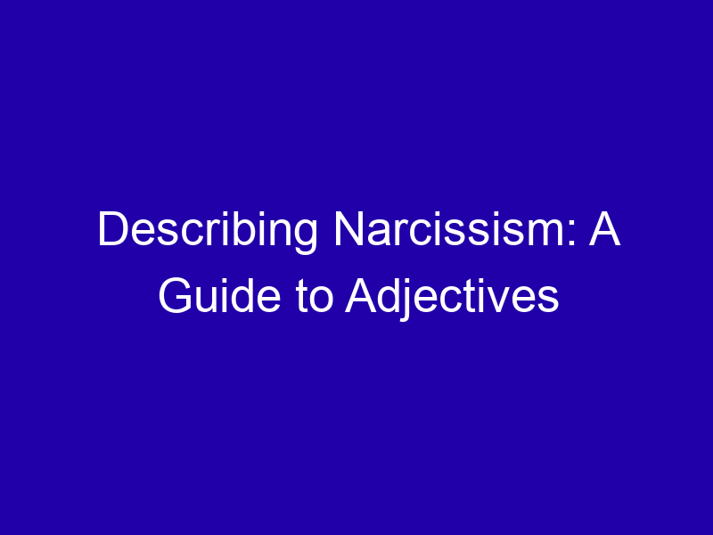 Describing Narcissism: A Guide to Adjectives Describing Narcissism A Guide To Adjectives 3779 Eb88b