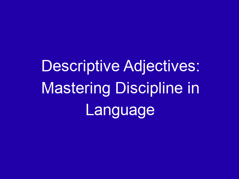 Descriptive Adjectives Mastering Discipline In Language 3791 C6bef