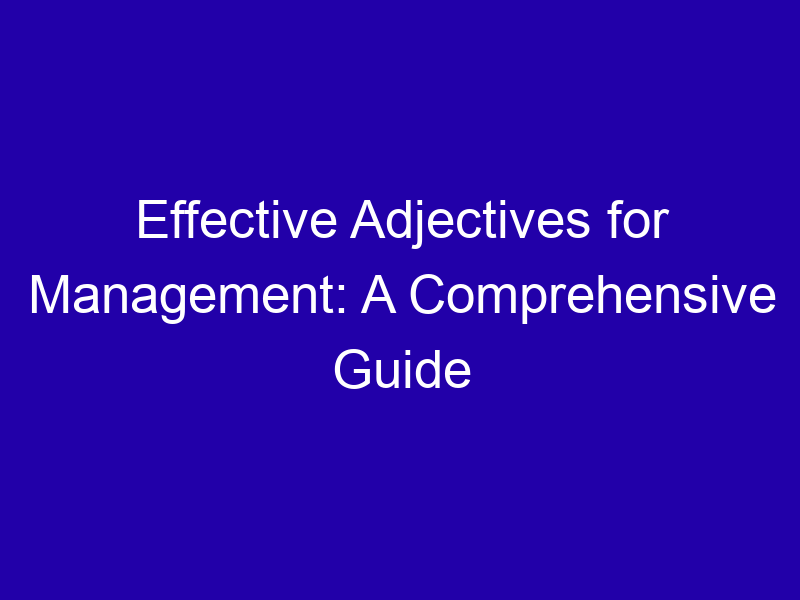 Effective Adjectives For Management A Comprehensive Guide 3802 3c54a