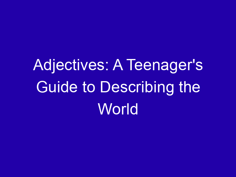 Adjectives: A Teenager's Guide to Describing the World Adjectives A Teenagers Guide To Describing The World 3891 C232f