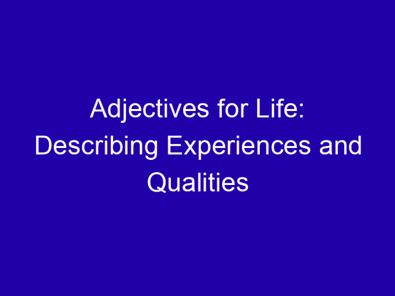Adjectives for Life: Describing Experiences and Qualities
