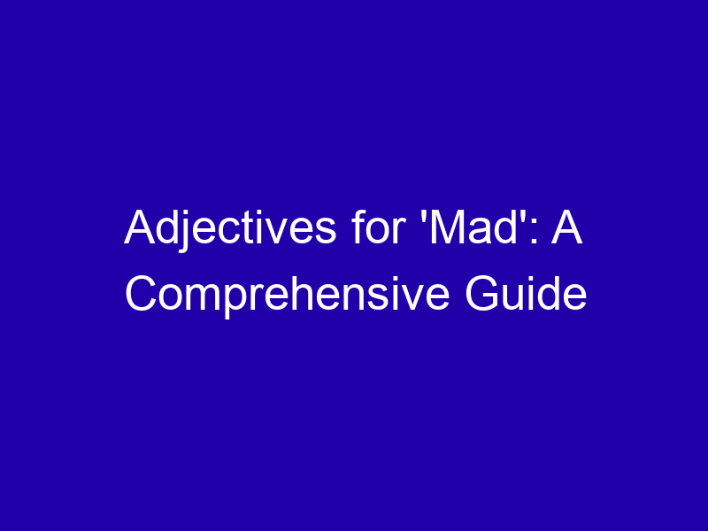 Adjectives For Mad A Comprehensive Guide 3875 8d641