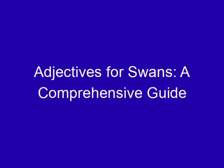 Adjectives for Swans: A Comprehensive Guide
