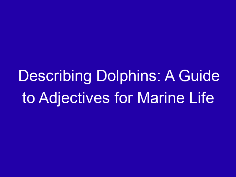 Describing Dolphins A Guide To Adjectives For Marine Life 3866 487c7