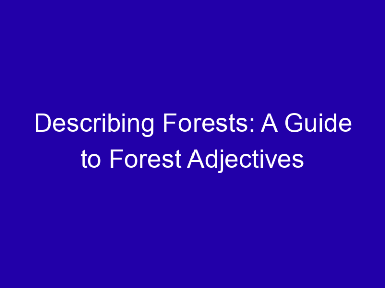 Describing Forests: A Guide to Forest Adjectives