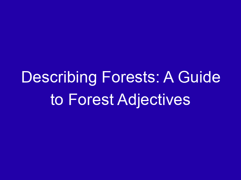 Describing Forests A Guide To Forest Adjectives 3954 Ecaad