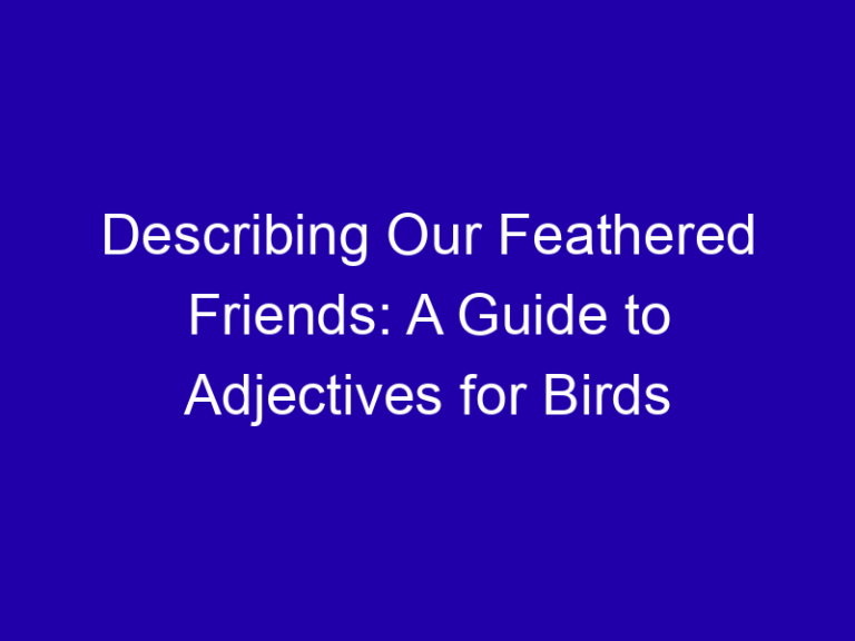 Describing Our Feathered Friends: A Guide to Adjectives for Birds