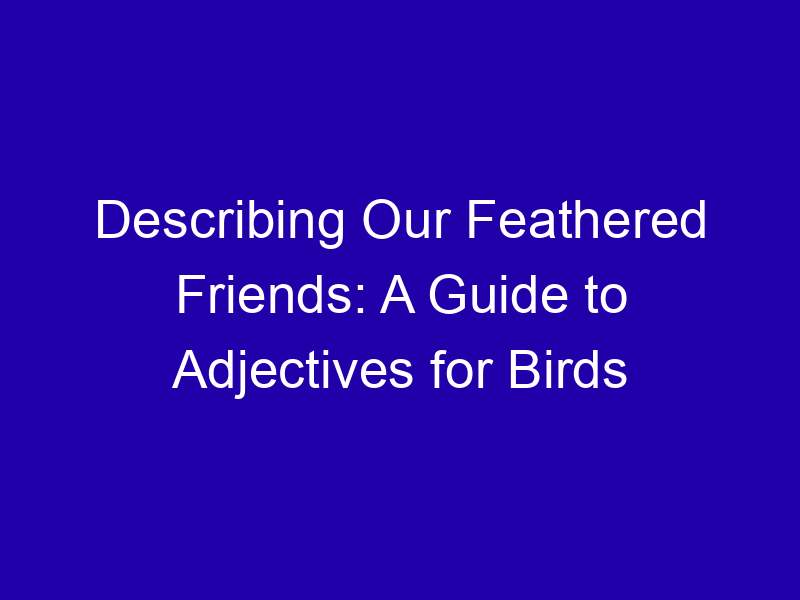 Describing Our Feathered Friends: A Guide to Adjectives for Birds Describing Our Feathered Friends A Guide To Adjectives For Birds 3892 D7769
