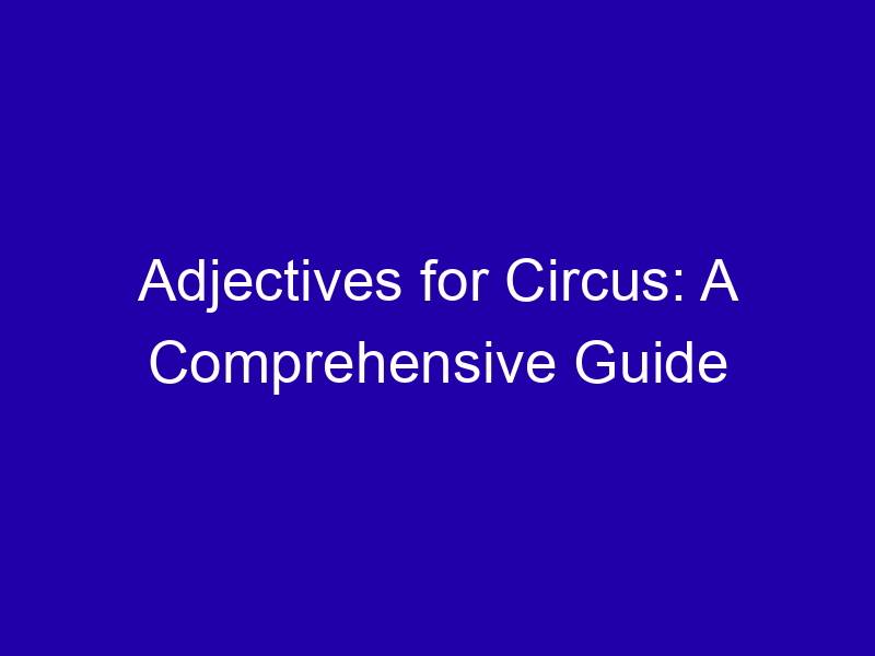 Adjectives For Circus A Comprehensive Guide 3979 17c26