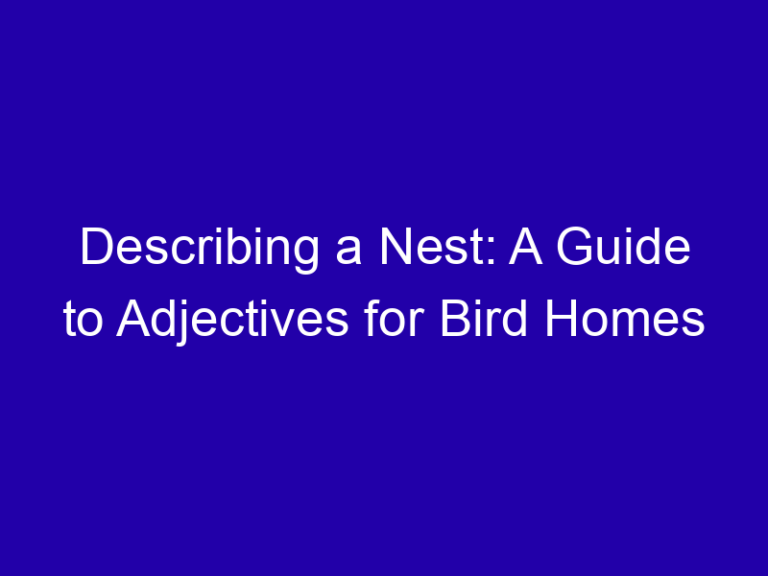 Describing a Nest: A Guide to Adjectives for Bird Homes