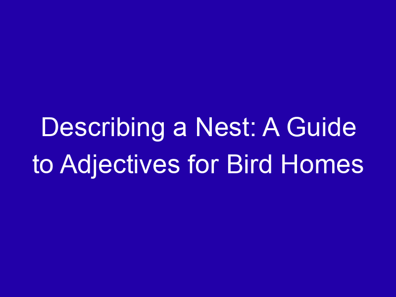 Describing A Nest A Guide To Adjectives For Bird Homes 3963 88451
