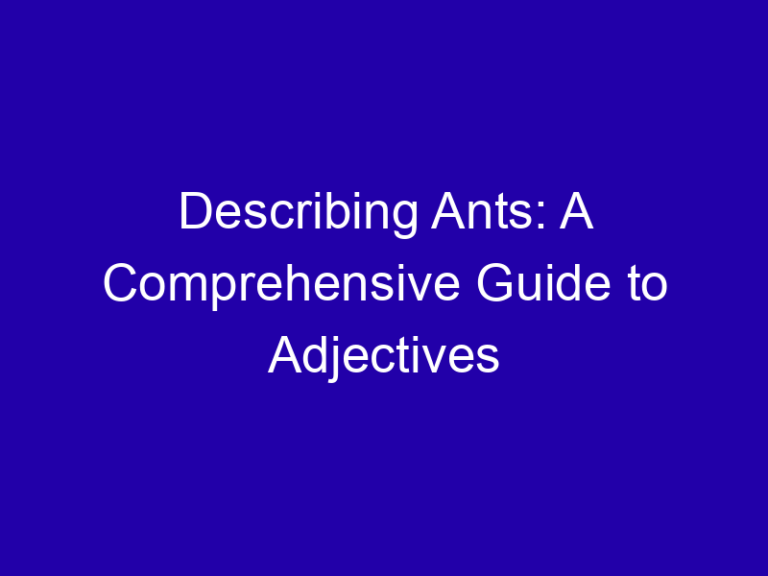 Describing Ants: A Comprehensive Guide to Adjectives