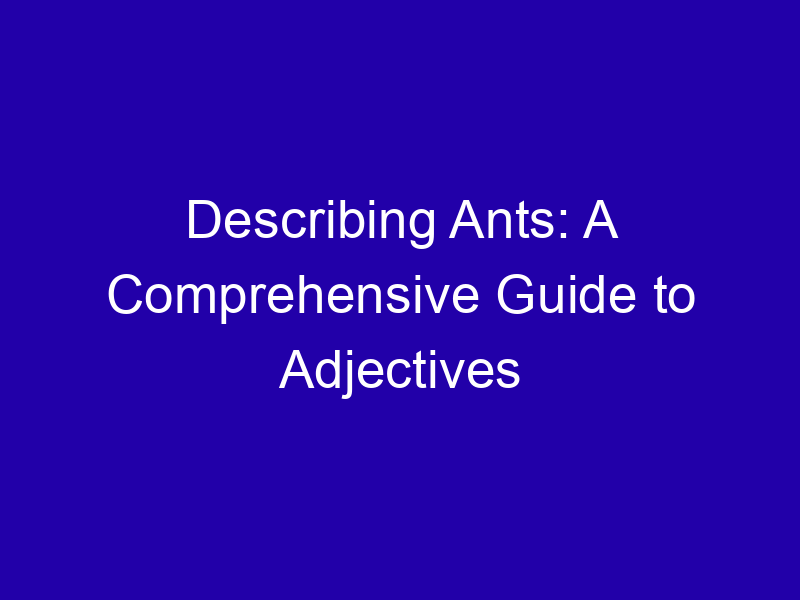 Describing Ants A Comprehensive Guide To Adjectives 3962 59009