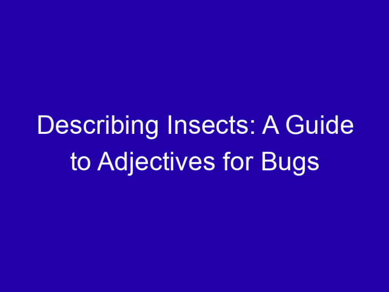 Describing Insects: A Guide to Adjectives for Bugs