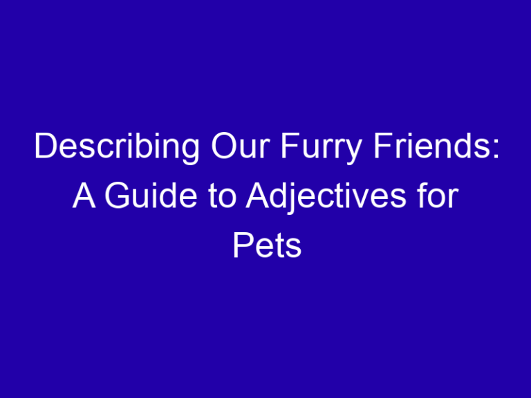 Describing Our Furry Friends: A Guide to Adjectives for Pets