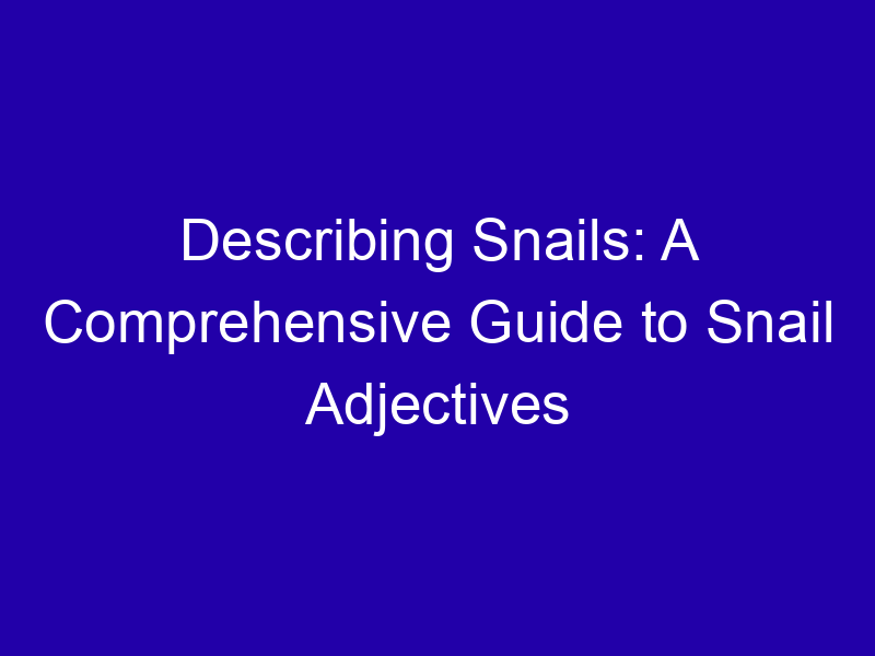 Describing Snails A Comprehensive Guide To Snail Adjectives 3978 77b9a