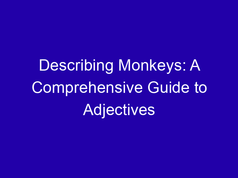 Adjectives for Monkeys: Cheeky, Agile, Noisy
