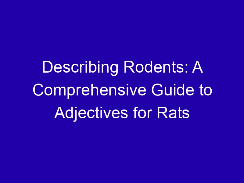 Describing Rodents: A Comprehensive Guide to Adjectives for Rats